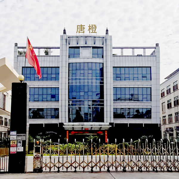 Cina Guangzhou Tangcheng Technology Co., Ltd. Profil Perusahaan
